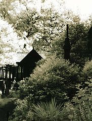 photo "Cloisters"
