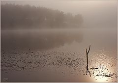 photo "Morning"
