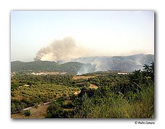 фото "Fire time"
