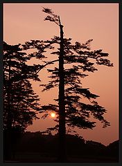 photo "hokky N1"