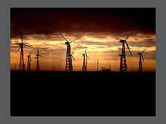 photo "2004"