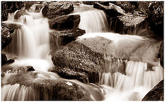photo "***"