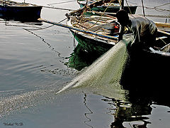 photo "Fishing net"