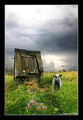 photo "Old fairy tales in a new way..."