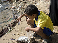 фото "Catch of the day"