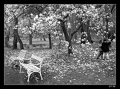 фото "once upon a time..."