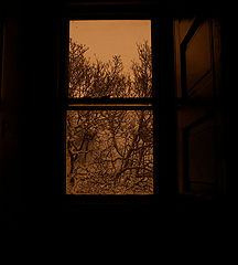 photo "Window 2004"