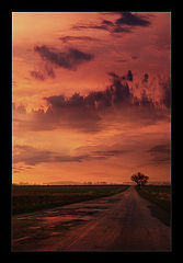 photo "africa"