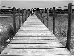фото "Time to go"