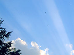 photo "S1"