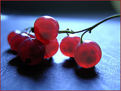 фото "Currant"