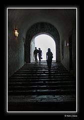 фото "Two vs one"