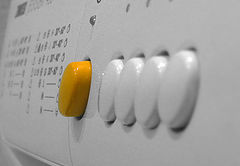 photo "The upstart"