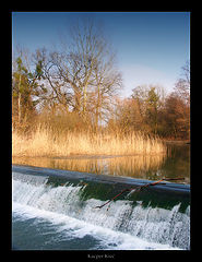photo "natural balance"