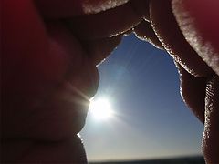 photo "hand"