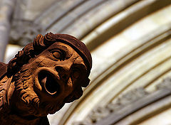 photo "The Head"