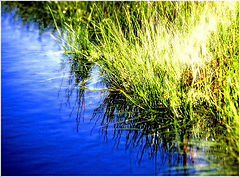 фото "Colors #2"