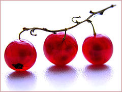 фото "..."