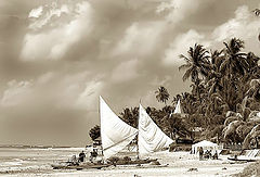 photo "Jangadas de Alagoas"