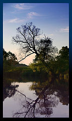 photo "Theme variations..."
