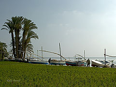 фото "Fishing boats 5"