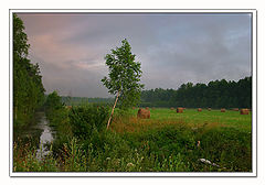 photo "About a summer"