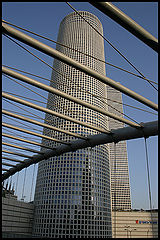 фото "lines"
