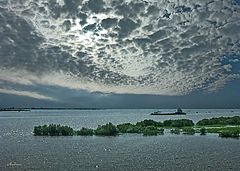 photo "Untitled photo"