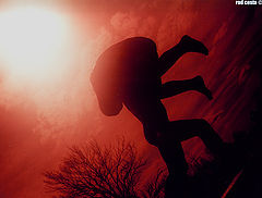 фото "VigelandsParken"