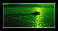 фото "Sunset in green"
