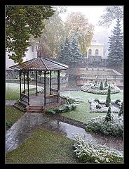 photo "First Snow"