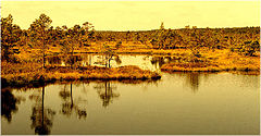 фото "Evening colors"