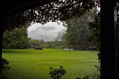 photo "my secrte garden in  TEPOZOTLAN MEXICO"
