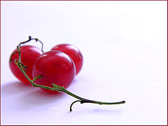 фото "..."