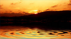 фото "variation 2"