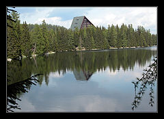 photo "The silence"