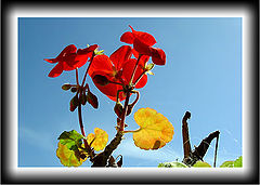 photo "to look"