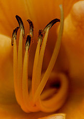 photo "Set the Controls for the Heart of the Sun"