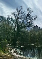 photo "Untitled photo"