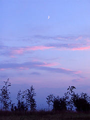 photo "S3"