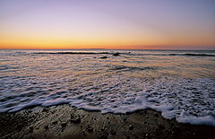 photo "Wave"