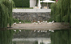 photo "~~~~"