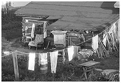 photo "Just a Life..."