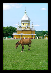 фото "Лошадь и церковь"