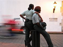 photo "Companionship"