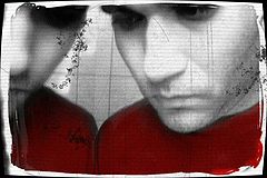 photo "Dual personality"