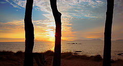 фото "SAMIL"