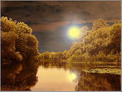 photo "paints of the nature"