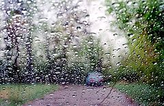 photo "Etude in raining wether... (1)"