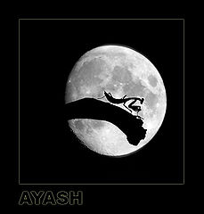 фото "Under Moon Light !!"